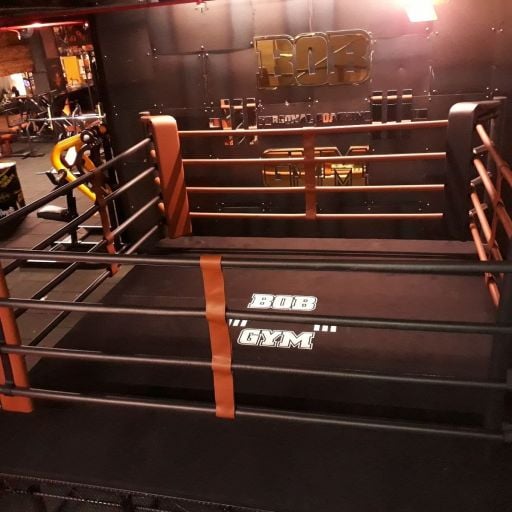 Boks ve Dövüş Sporları