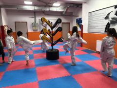 Taekwondo Flowers Spor Salonu Kullanımı