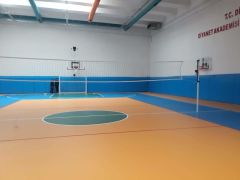 VOLEYBOL DİKMESİ (GOLD MODEL)