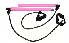 AVESSA FB-10 PINK FİTNESS BAR PEMBE