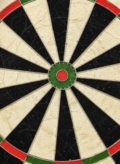 Avessa Dart-200 Domuz Kılı Dart Tahtası Profesyonel Dart Seti 6 Adet Ok Dart-200