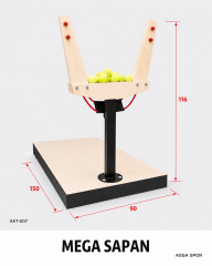 Angry Birds Sapan & Angry Birds Target