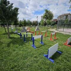 Engel Üstü Geçiş Spor Salonu Kullanımı
