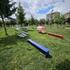 AHŞAP SIÇRAMA TAHTASI