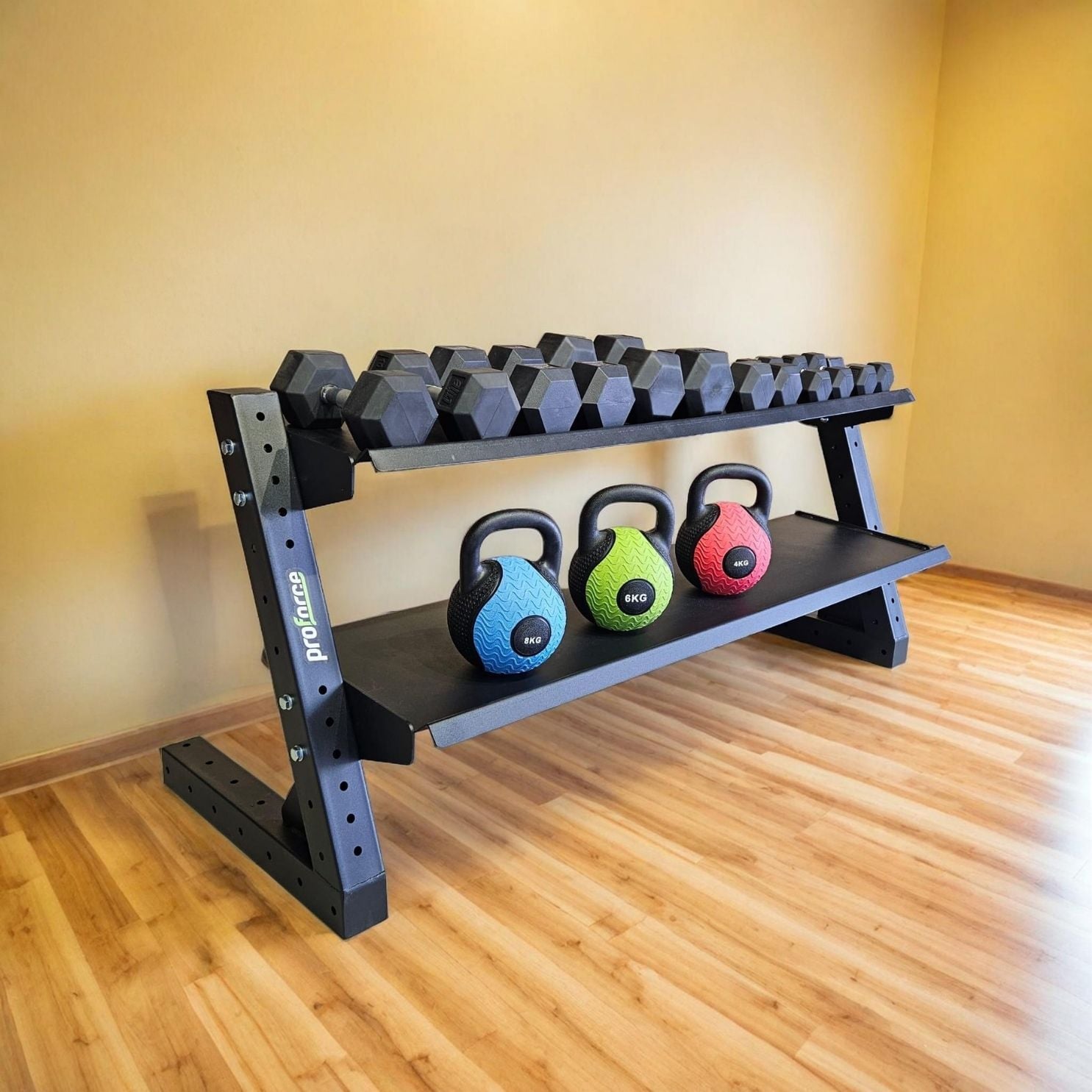 İki Katlı Hex Dambıl Standı - Profesyonel CrossFit Ekipmanı | ASSA SPOR