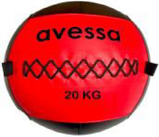 AVESSA DST-20 KG DERİ SAĞLIK TOPU 20 KG