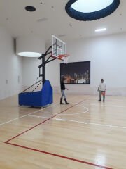 Potası Black Gold Tekerlekli Yükseklik Ayarlı (105*180) Yan Görünüm