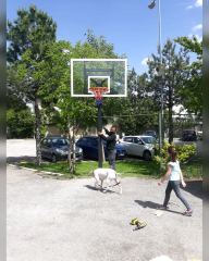 Black Silver Tek Direkli Basketbol Potası Sabit Çember Temperli Cam 105-180