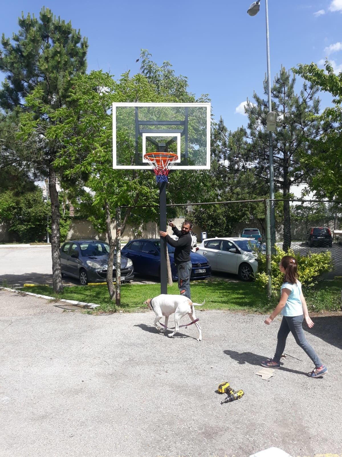 ASSA SPOR Black Silver sabit çember basketbol potası