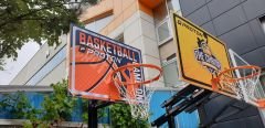 Tek Direkli Sabit Basketbol Potası Basic Model Sabit Çember Dijital Panya(75*100) Spor Salonu Kullanımı