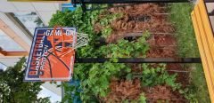 Tek Direkli Sabit Basketbol Potası Basic Model Sabit Çember Dijital Panya(75*100) Detay Fotoğrafı