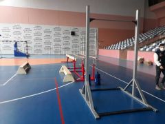 ASSA SPOR Sınav Tipi Barfiks Aleti - Barfiks Aleti Üretimi