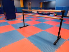 Taşınabilir Bale Barı – Sabit Yükseklik (Siyah)