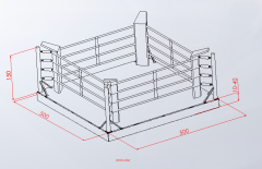 Boks Ringi Yükseklik (20-30-40) Cm Standart Renk Baskısız 5X5 Spor Salonu Kurulum Örneği