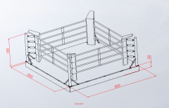 ASSA SPOR Boks Ringi Yükseklik 50 Cm Özel Renk Baskılı 5X5 Genel Görünüm