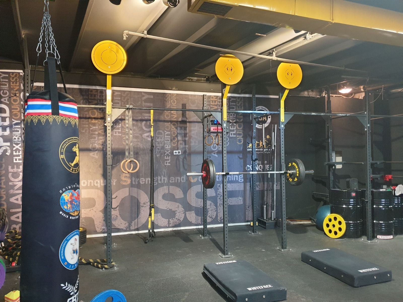 ASSA SPOR Sağlık Topu Hedefi - Spor Ekipmanı Üretimi