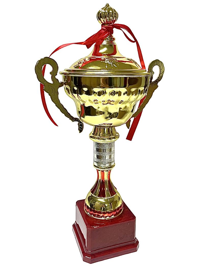 Avessa 523-B Kapaklı Gold Kaplama Kupa 40 Cm - Profesyonel Spor Ekipmanı | ASSA SPOR
