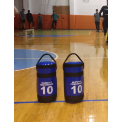 ASSA SPOR Pomem Sınav Ağırlık Çantası 10 Kg Mavi 2 Adet - Ağırlık Plakası Üretimi