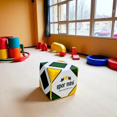 Profesyonel Aktivite Küp Minder Yeşil - CrossFit Antrenman Ürünü