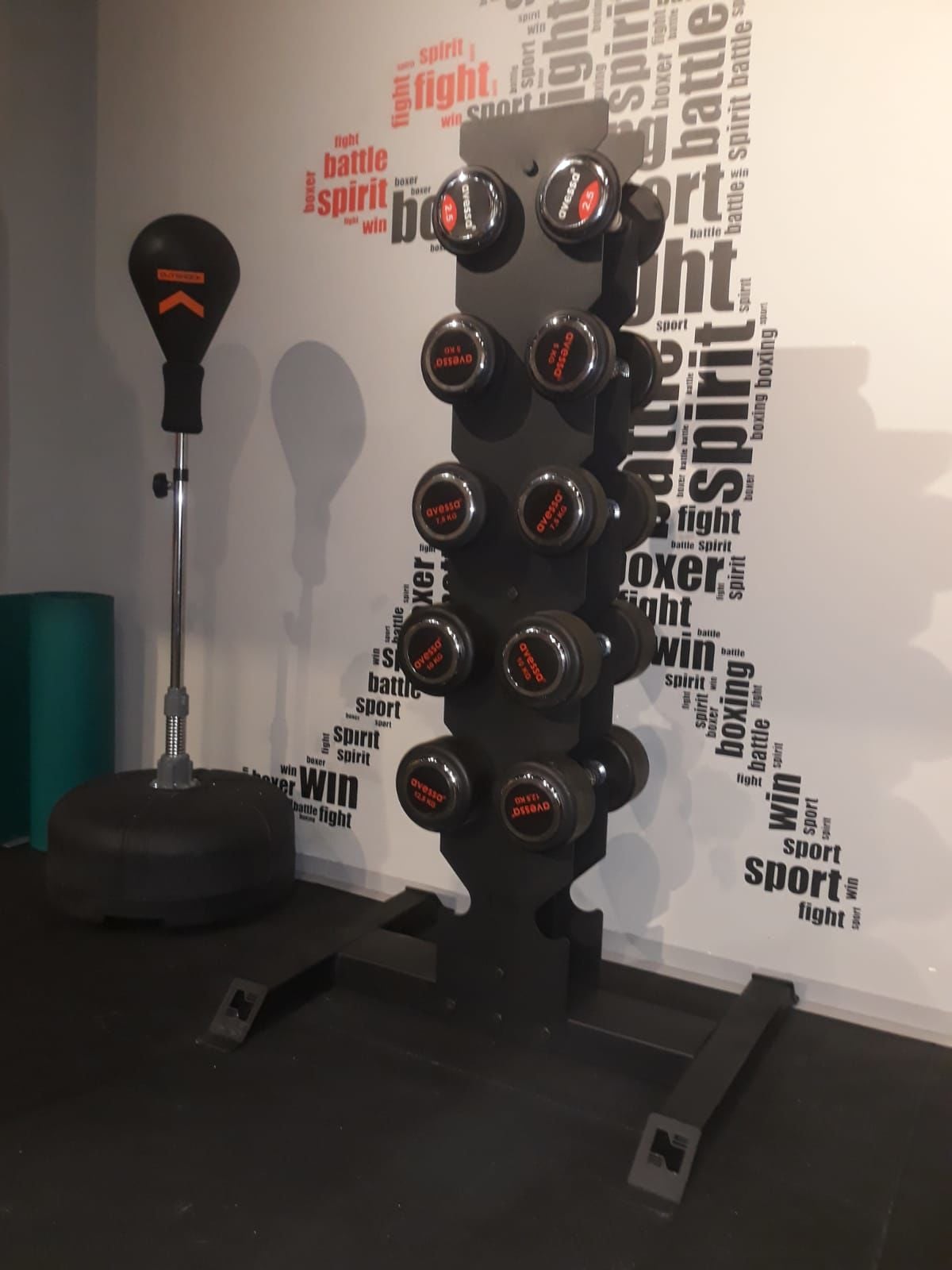 ASSA SPOR Vertical Dumbell Standı - Spor Ekipmanı Üretimi