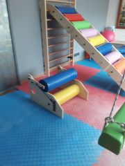 ASSA SPOR Bireysel Gelişim Steamroller - Spor Ekipmanı Üretimi