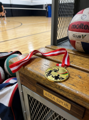 AVESSA MAD-VOL-2 VOLEYBOL FİGÜRLÜ MADALYA 6.5 CM