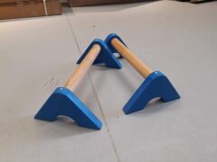 ASSA SPOR Amut Barı Kısa Mavi Genel Görünüm