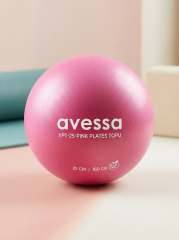 AVESSA XPT-25-PINK PLATES TOPU PEMBE 25 CM 160 GR