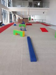 Sünger Denge Aleti Mavi Spor Salonu Kullanımı