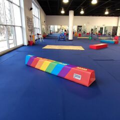 ASSA SPOR Yüksek Sünger Denge Aleti Genel Görünüm