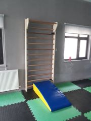 TRAMPLEN SÜNGERİ