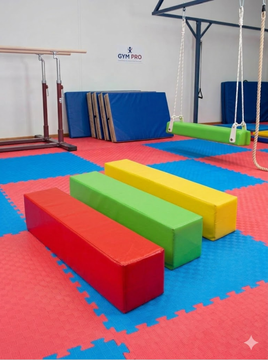 Dikdörtgen Minder 20X20X80 Cm - Profesyonel Jimnastik Ekipmanı | ASSA SPOR