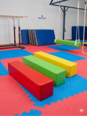 Dikdörtgen Minder 20X20X80 Cm - Profesyonel Jimnastik Ekipmanı | ASSA SPOR