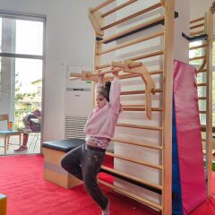 Ahşap Multi Dips Aparatı