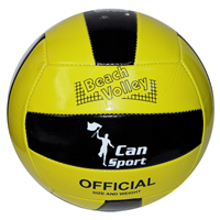 CAN TOP 2 ASTAR VOLEYBOL TOPU (100)