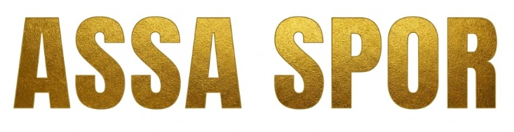 Güreş Minderi Üst Brandası (Antrenman Model)